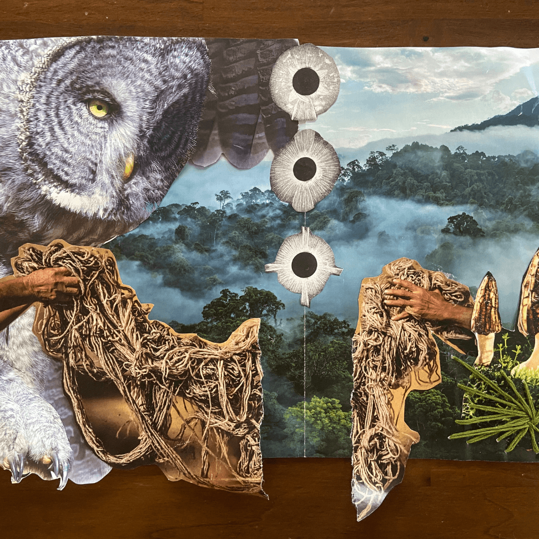 CanvaCollageWorkshop